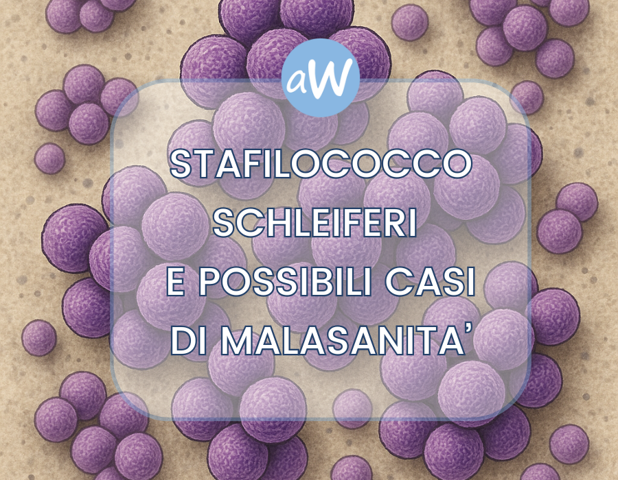 Stafilococco Schleiferi e Risarcimento per Errato Trattamento dell’Infezione